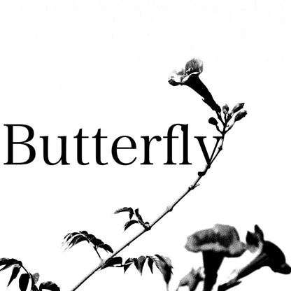 古着Butterfly