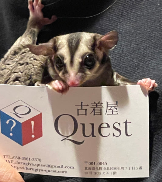 古着屋Quest